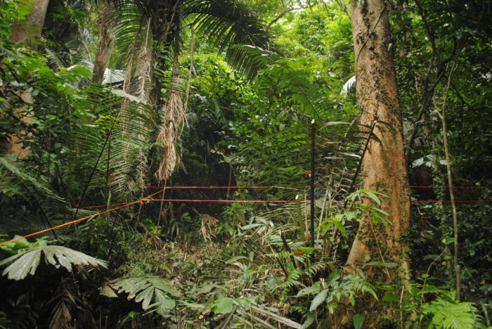 Fieldwork in the Tropics: Update from Vietnam