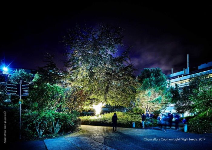 Light Night: The Urban Forest at Night