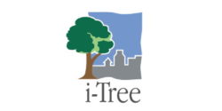 i-Tree logo - drawing of a tree with a cityscape silhouette