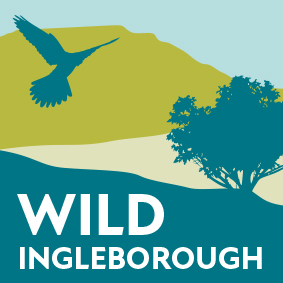 Wild Ingleborough: A vision for a wilder future | Leeds Ecosystem ...