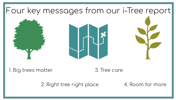 University of Leeds campus i-Tree Eco study – a review of impact two years on