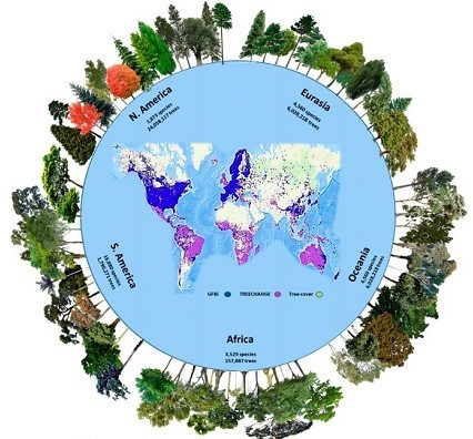 Locations and number of different tree species on a world map