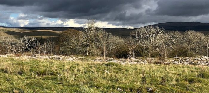 Opportunities to research landscape scale restoration in the UK’s uplands