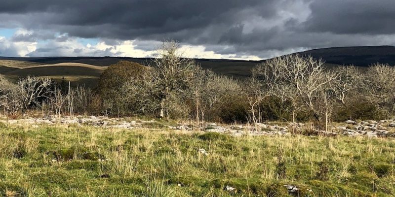 Opportunities to research landscape scale restoration in the UK’s uplands