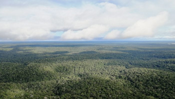 Aerial view of rainforest with clouds
