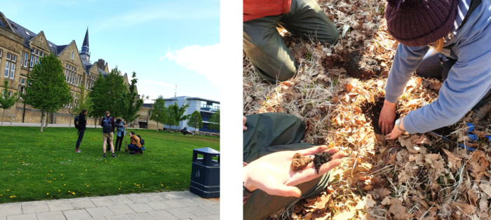 Students measuring a tree (left) and digging a hole to check soil types (right)
