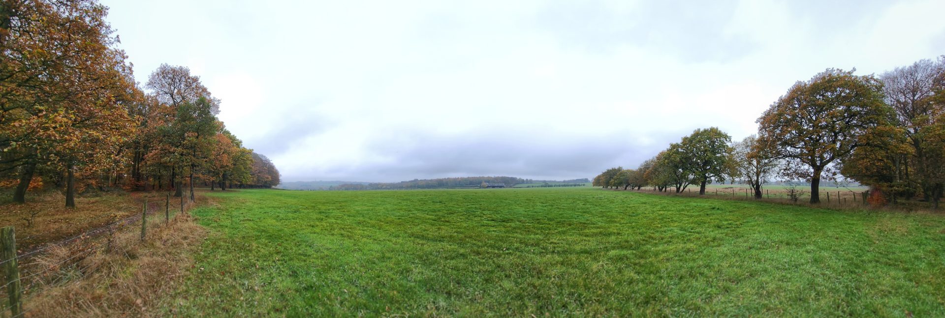 Panorama of a large grassy field, bordered by autumnal trees