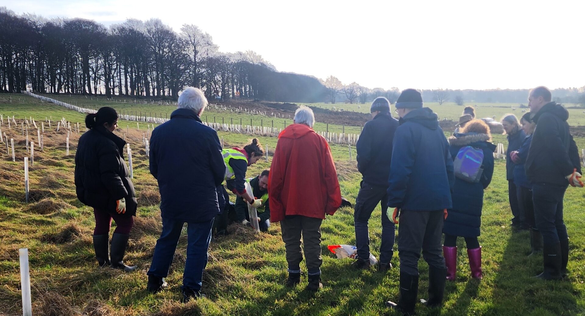 A group of people gathered around Drs Tom Sloan and Cat Scott, who are demonstrating how plastic guards should fit around tree seedlings