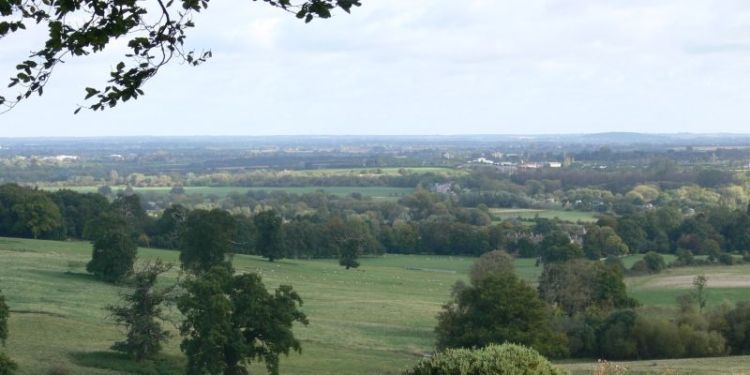 a rural landscape of fields and trees