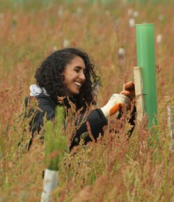 a smiling volunteer working on a green tree tube