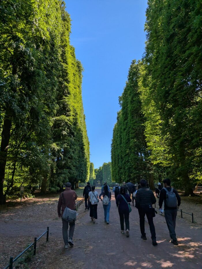 People walking down an avenue of trees